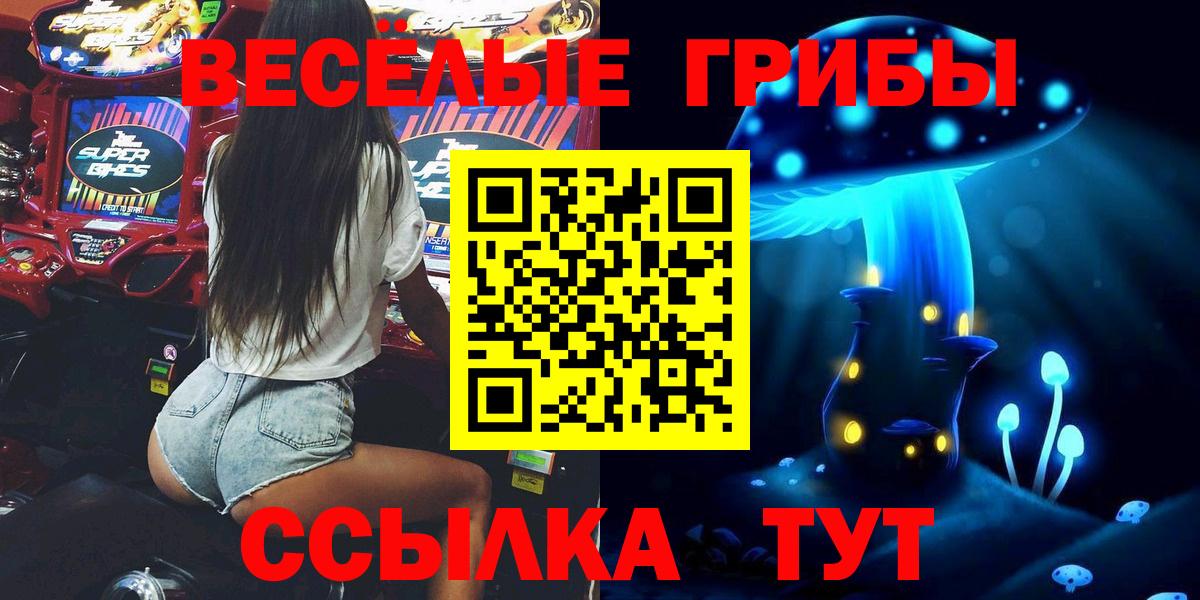Кувандык  Псилоцибиновые грибы мухоморы  Вход с VPN 