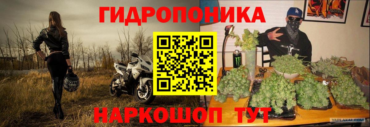 Каннабис семена  Вход с VPN  Кувандык  Каннабис MAZAR 